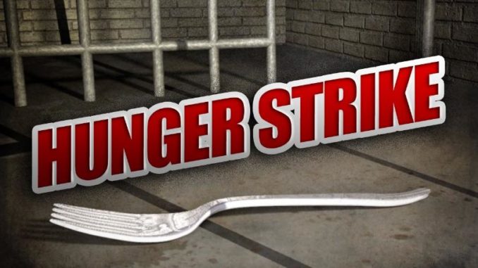 hunger+strike+sf