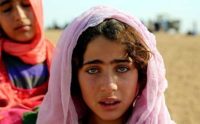 yazidi
