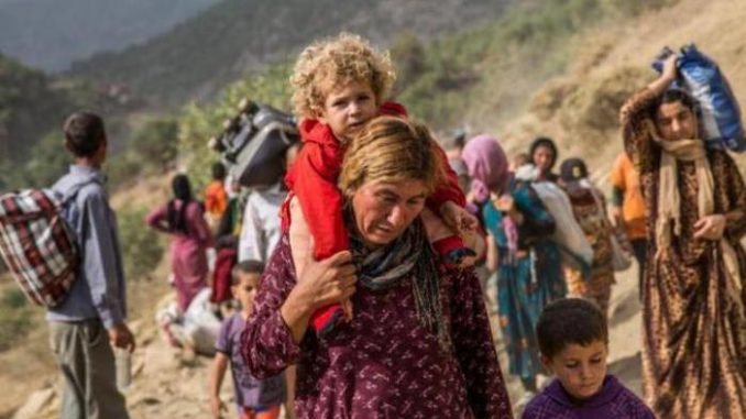 -yazidi-in-fuga